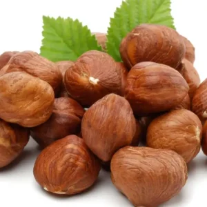 بندق