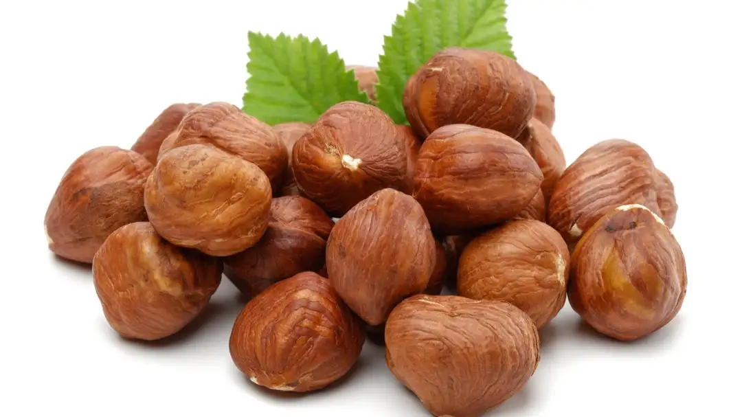 بندق