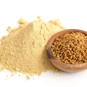 حلبة